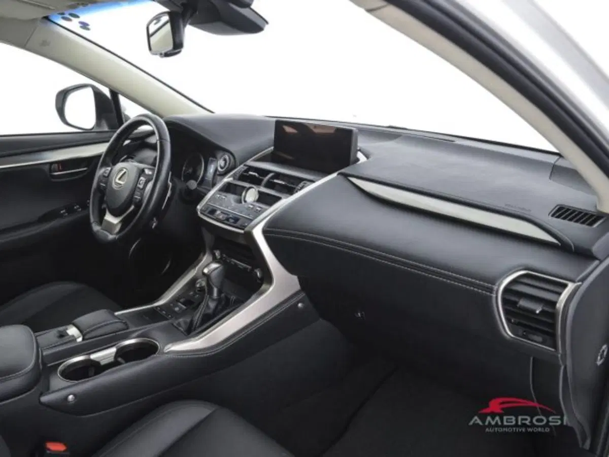 Lexus NX usata a Perugia (12)