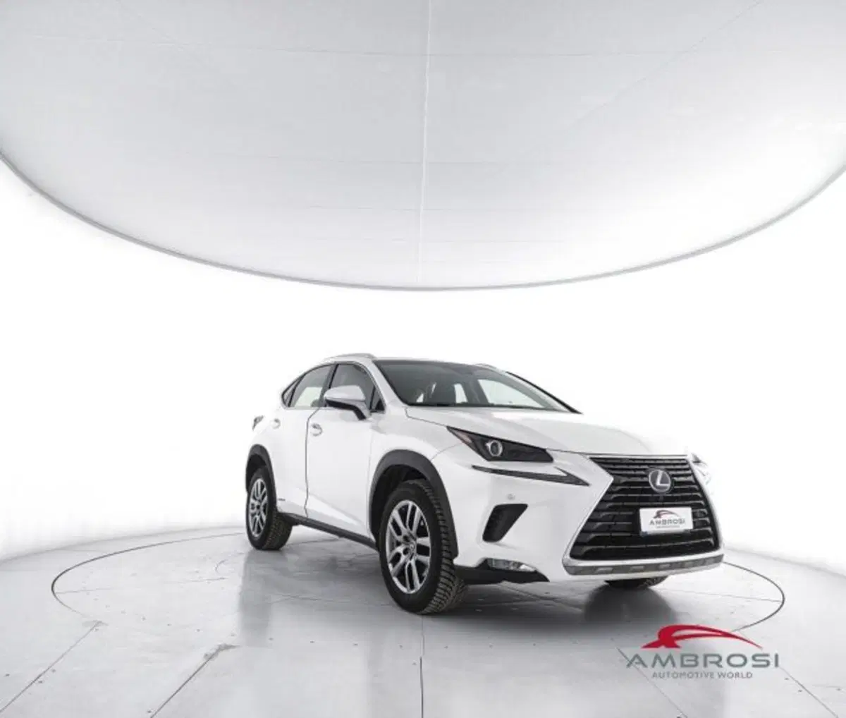 Lexus NX usata a Perugia (2)