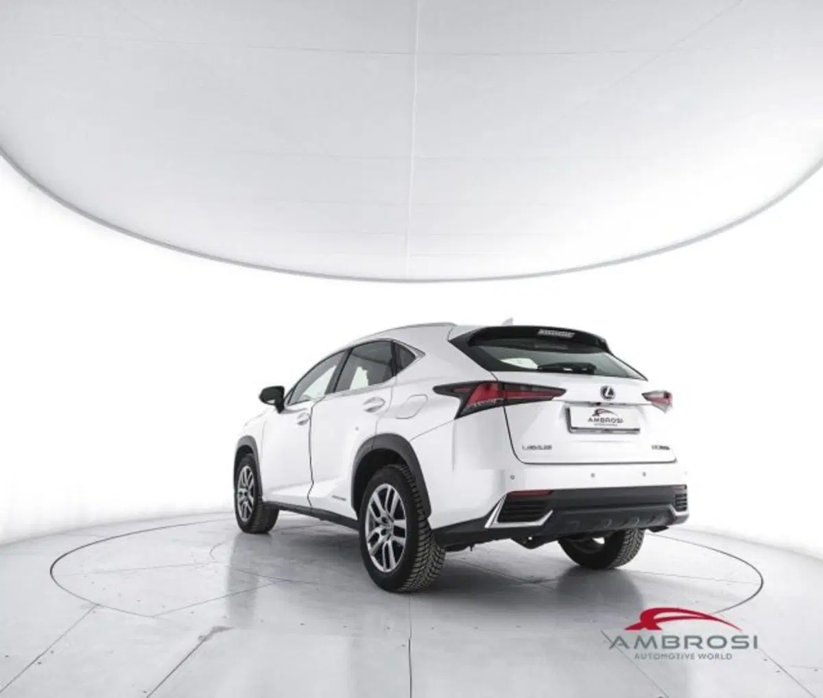 Lexus NX usata a Perugia (4)