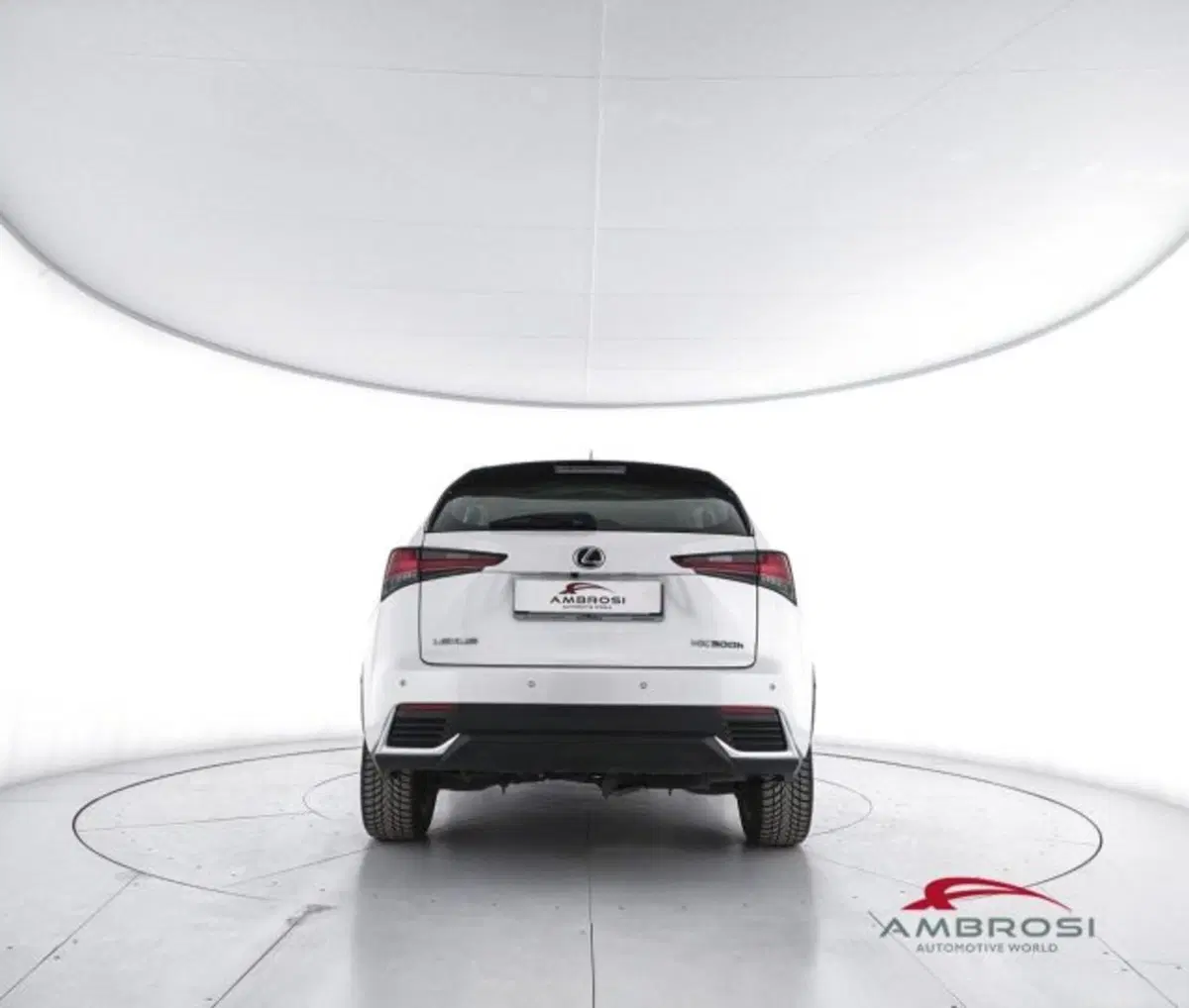 Lexus NX usata a Perugia (6)