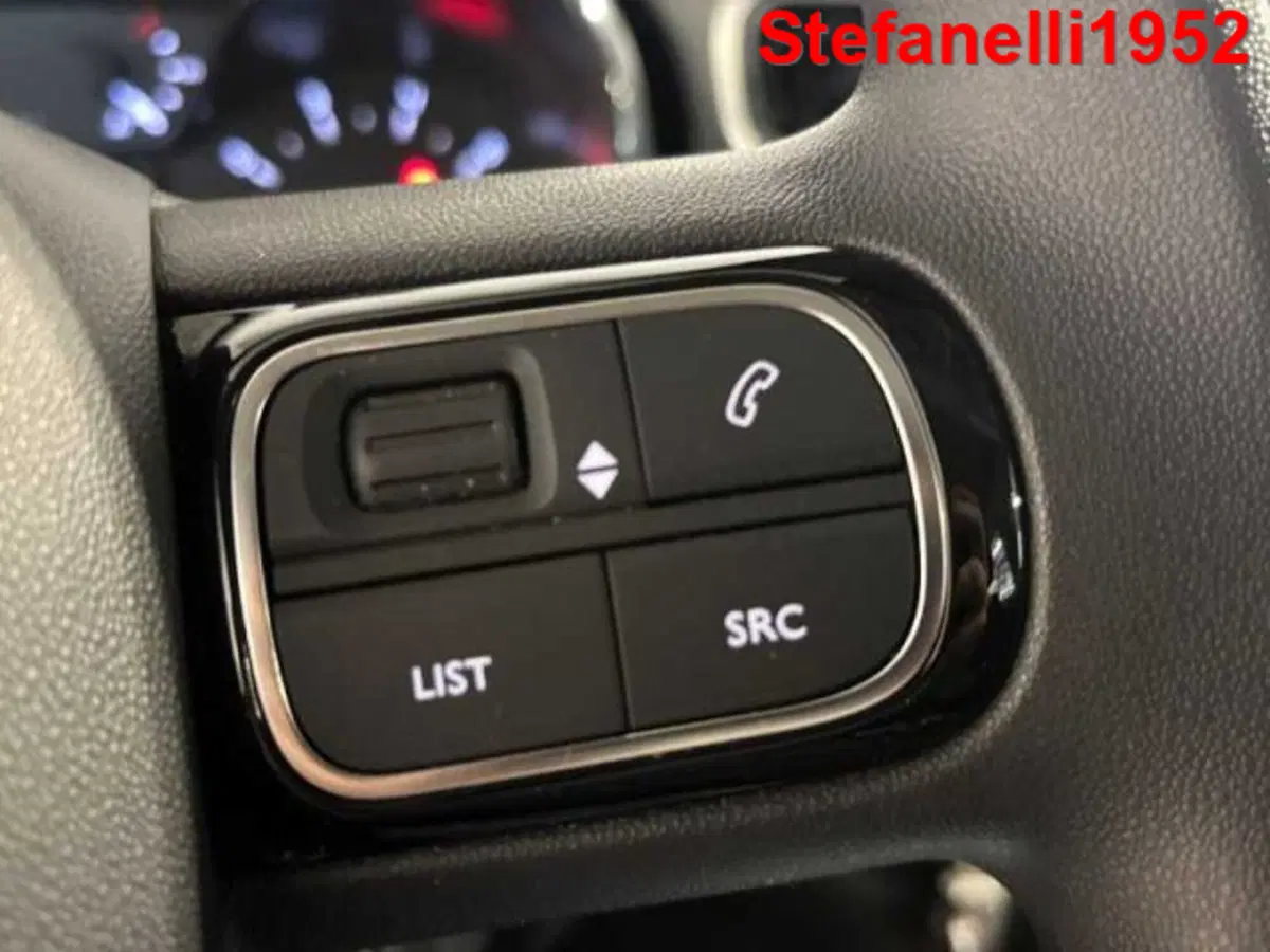 Citroen C3 usata a Bologna (19)