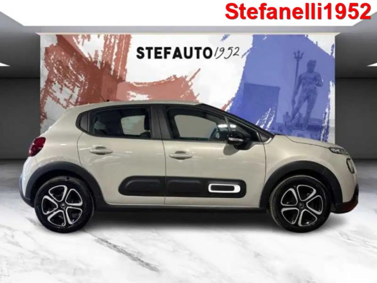 Citroen C3 usata a Bologna (3)