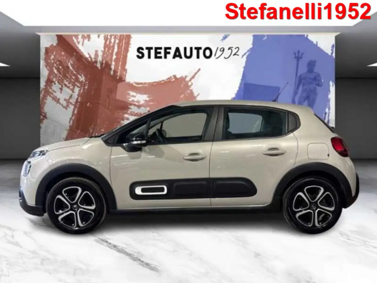 Citroen C3 usata a Bologna (4)