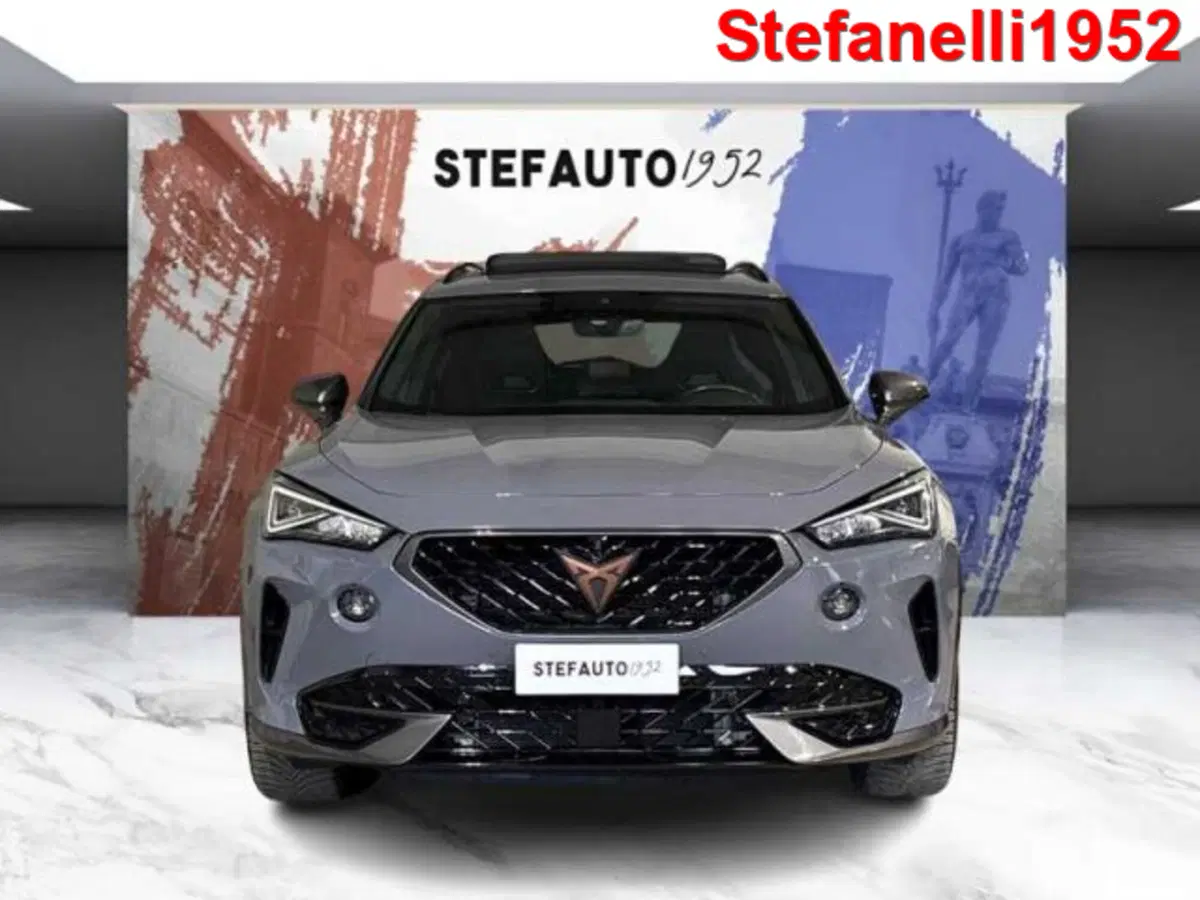 Cupra Formentor usata a Bologna (2)