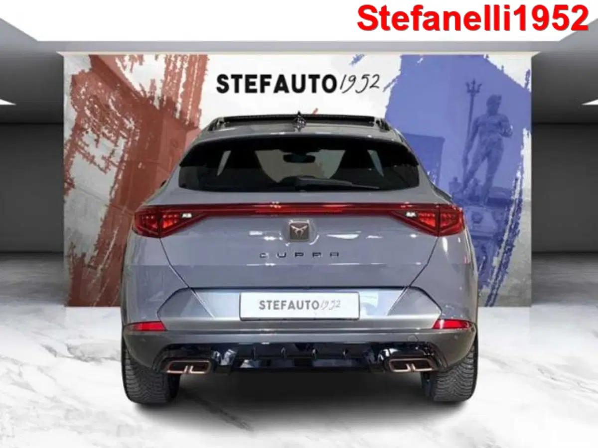 Cupra Formentor usata a Bologna (6)