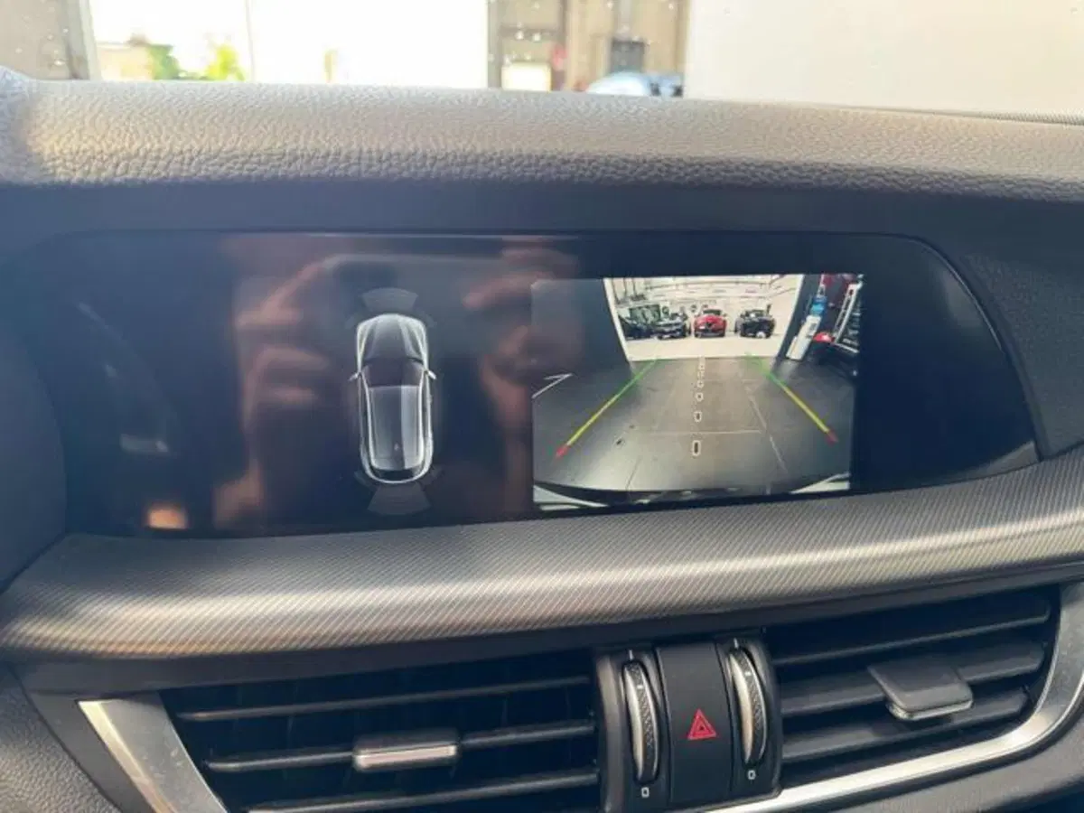 Alfa Romeo Stelvio usata a Vercelli (13)