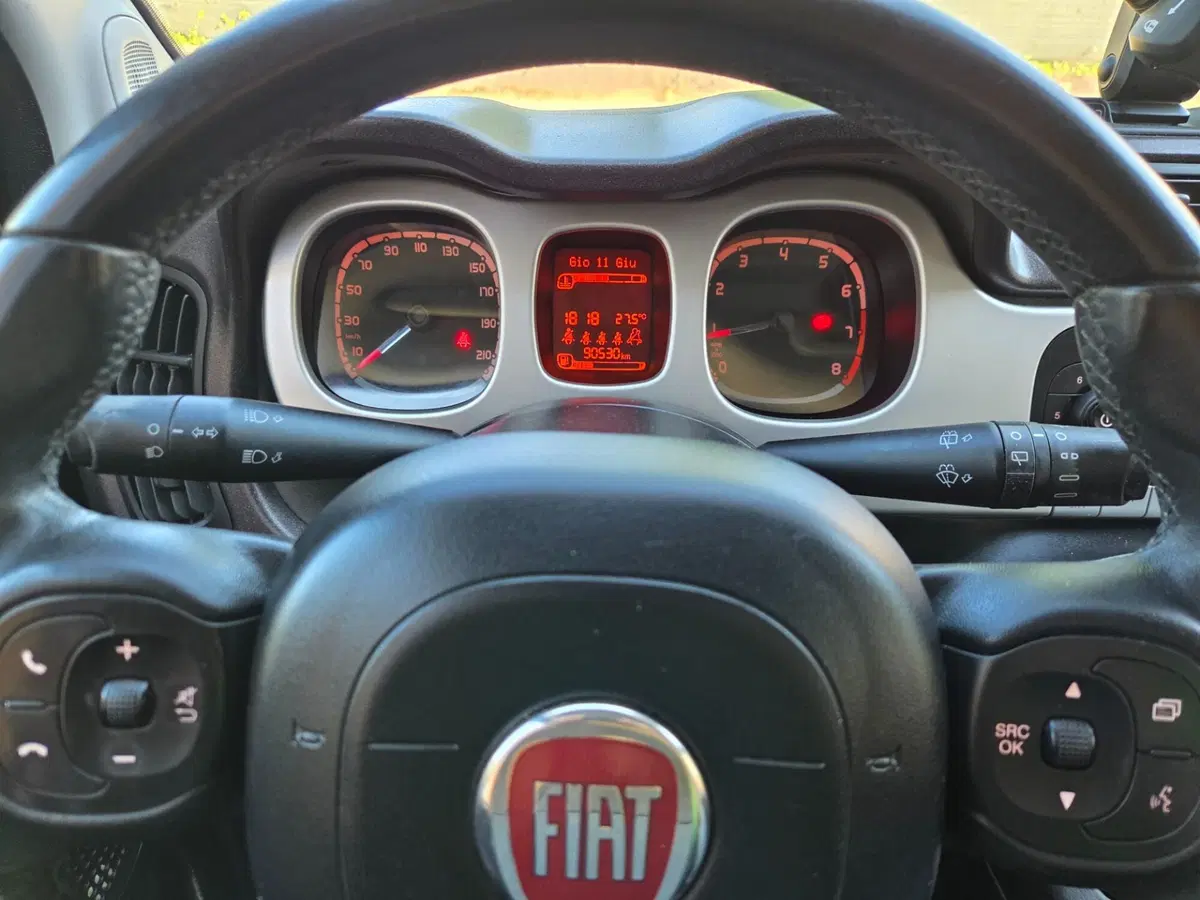 Fiat Panda Cross usata a Torino (11)