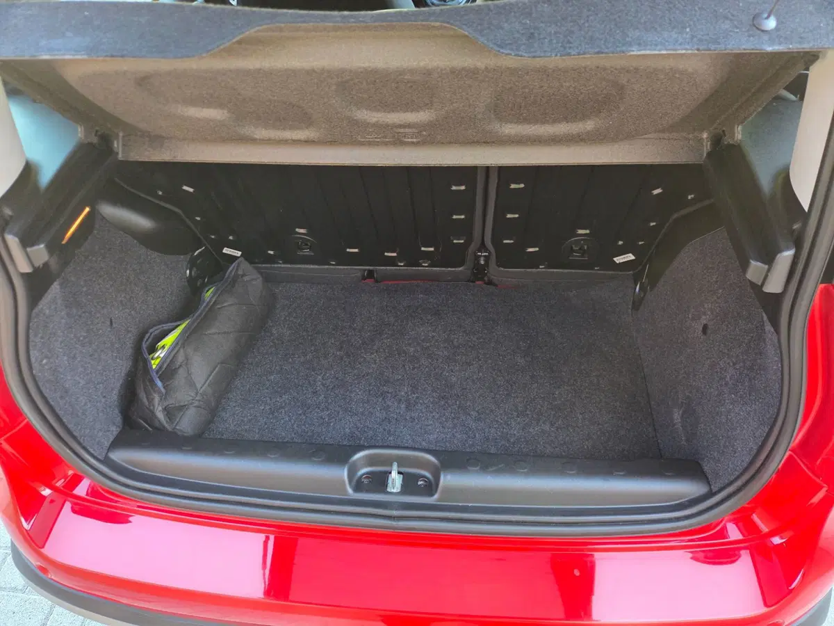 Fiat Panda Cross usata a Torino (15)