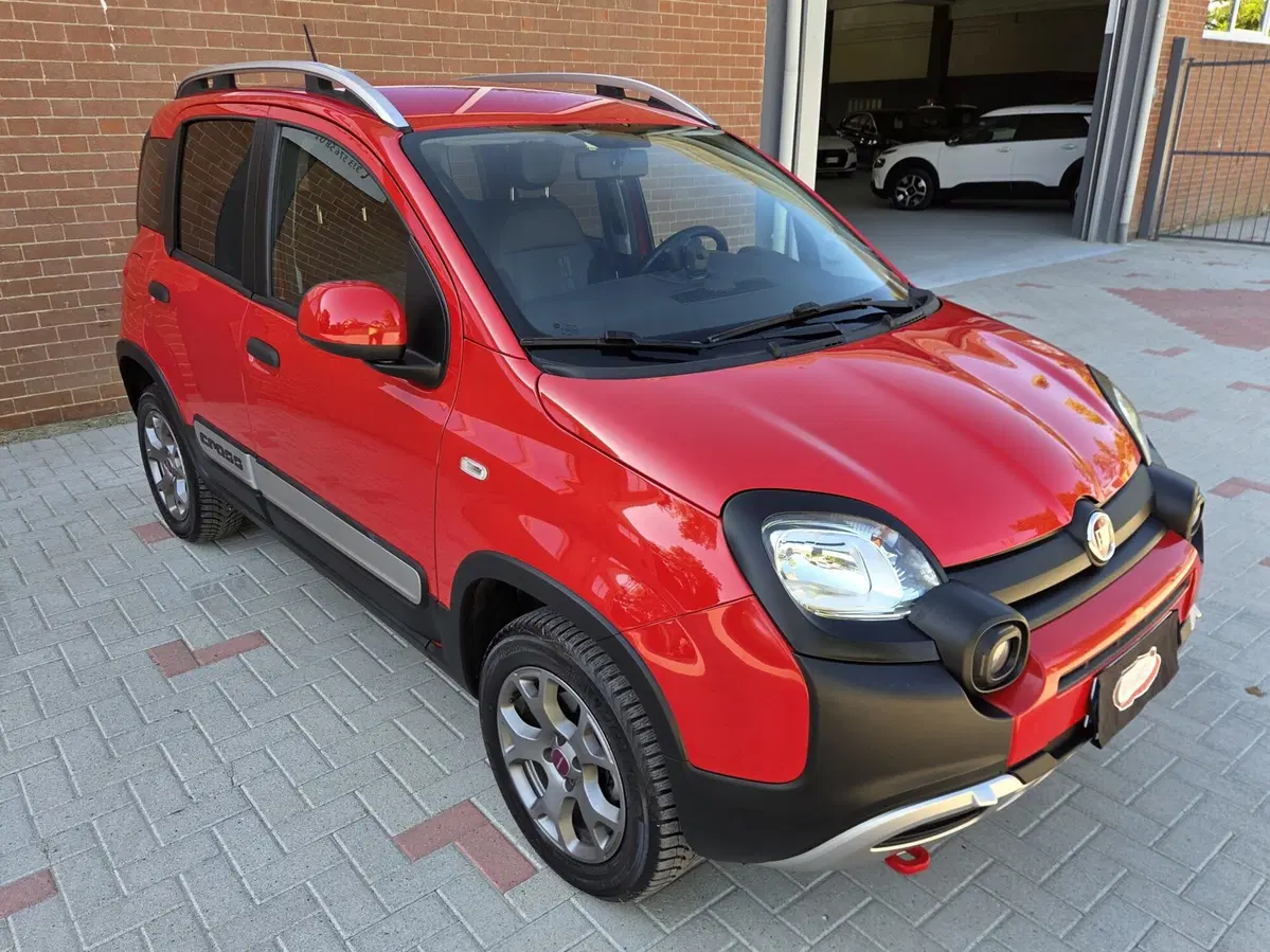 Fiat Panda Cross usata a Torino (2)