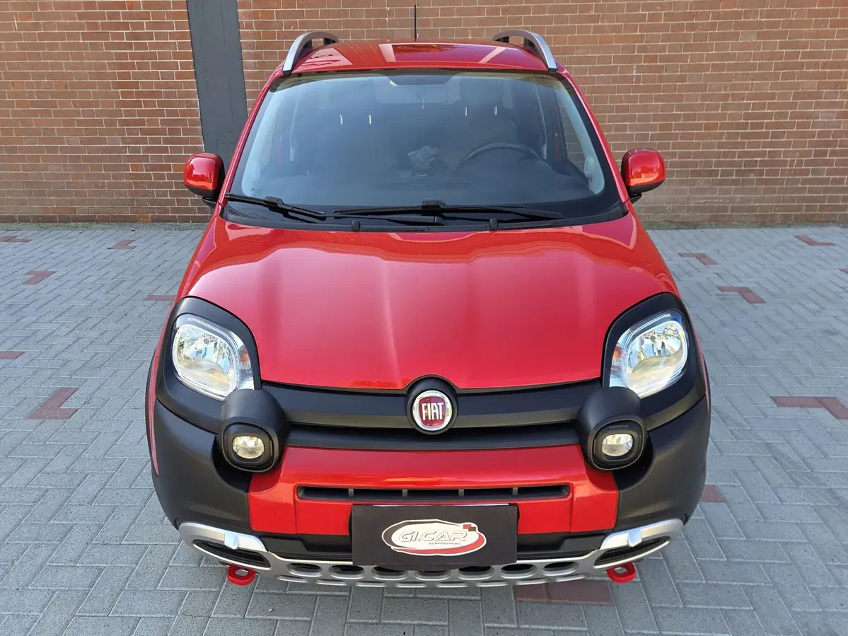 Fiat Panda Cross usata a Torino (5)