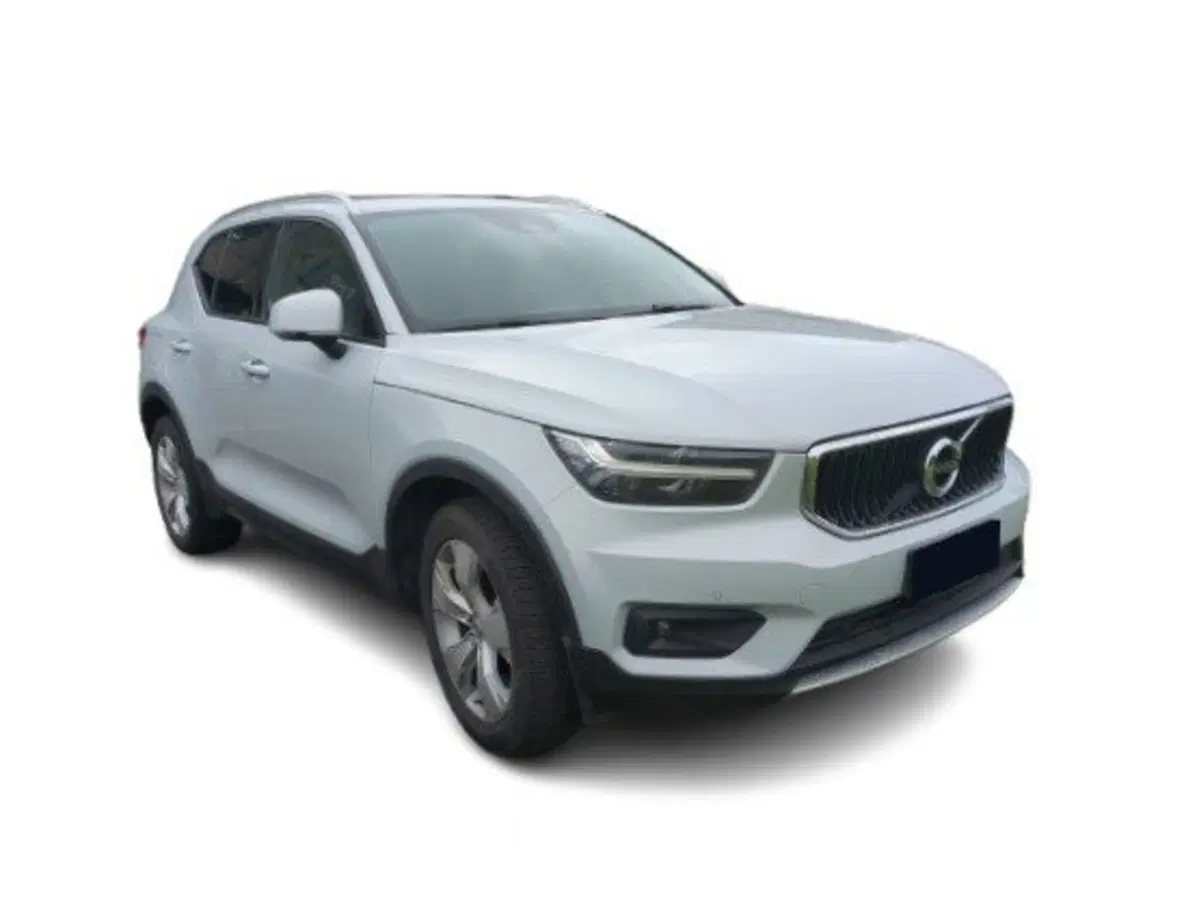 Volvo XC40 usata a Bari (2)