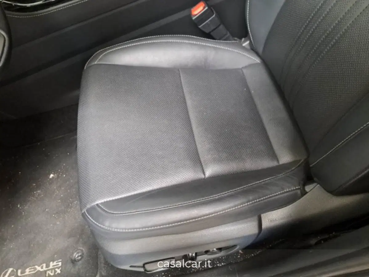 Lexus NX usata a Salerno (11)