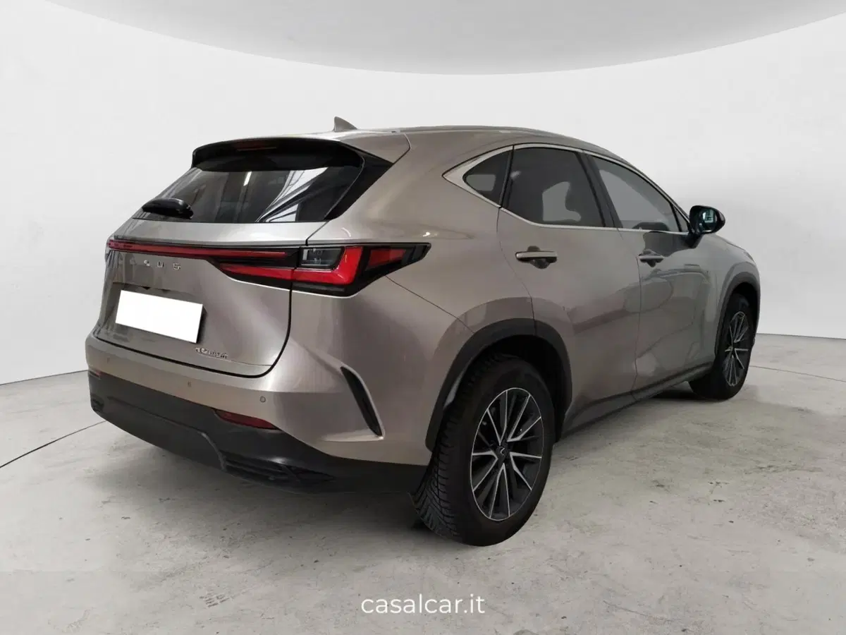 Lexus NX usata a Salerno (3)
