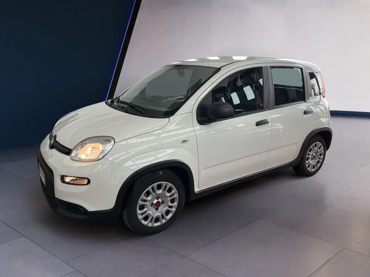 Fiat Panda Cross usata a Torino (3)