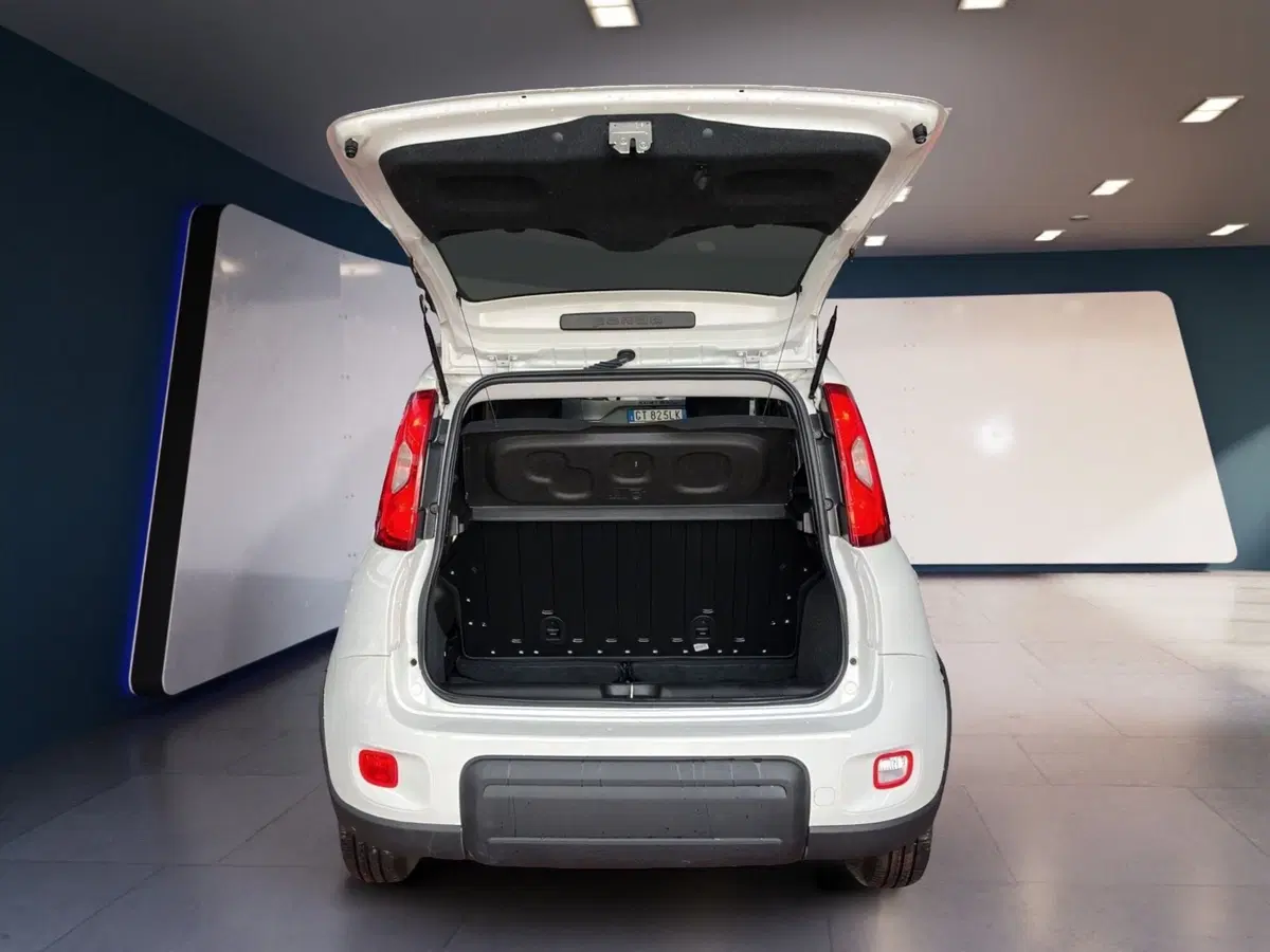 Fiat Panda Cross usata a Torino (7)