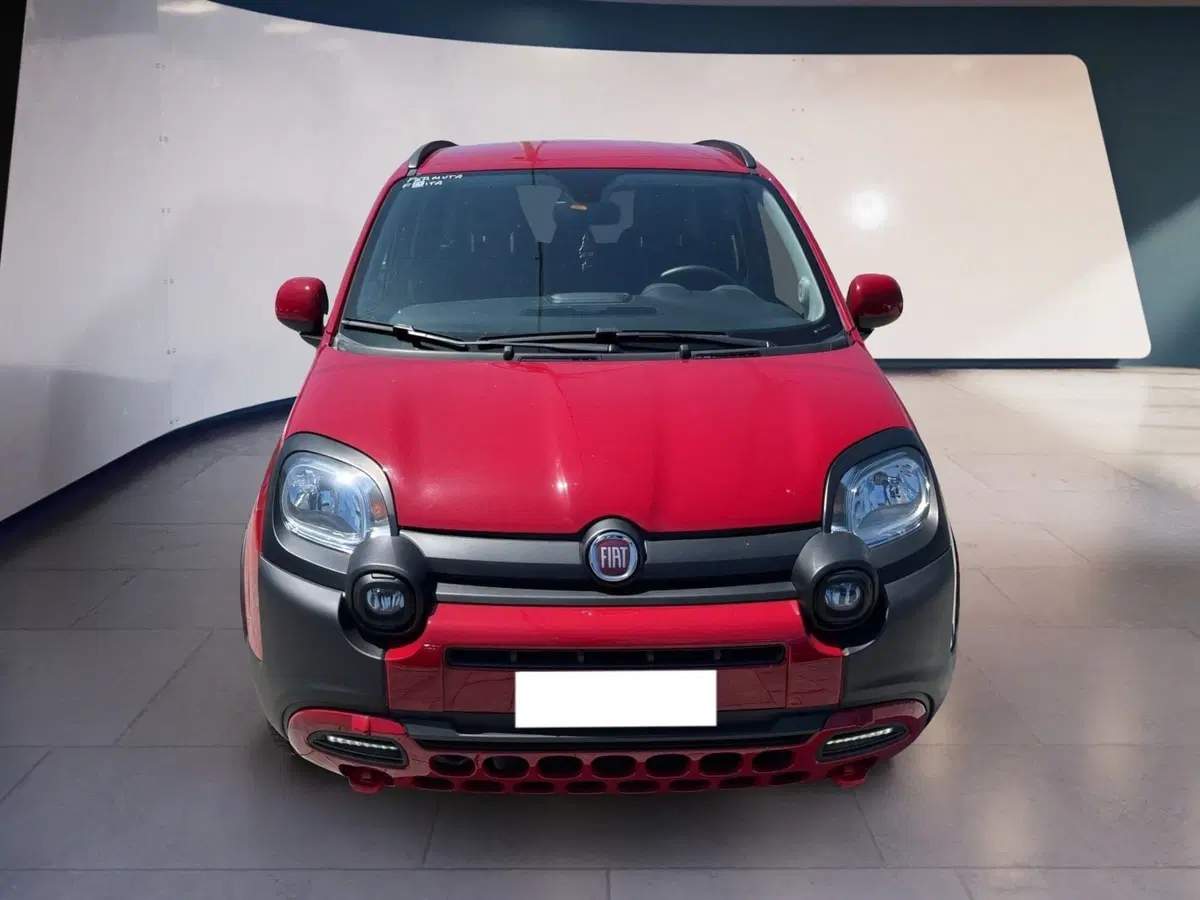 Fiat Panda usata a Torino
