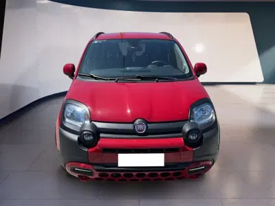 Fiat Panda 1.0 FireFly S&amp;S Hybrid City Cross del 2023 usata a Torino