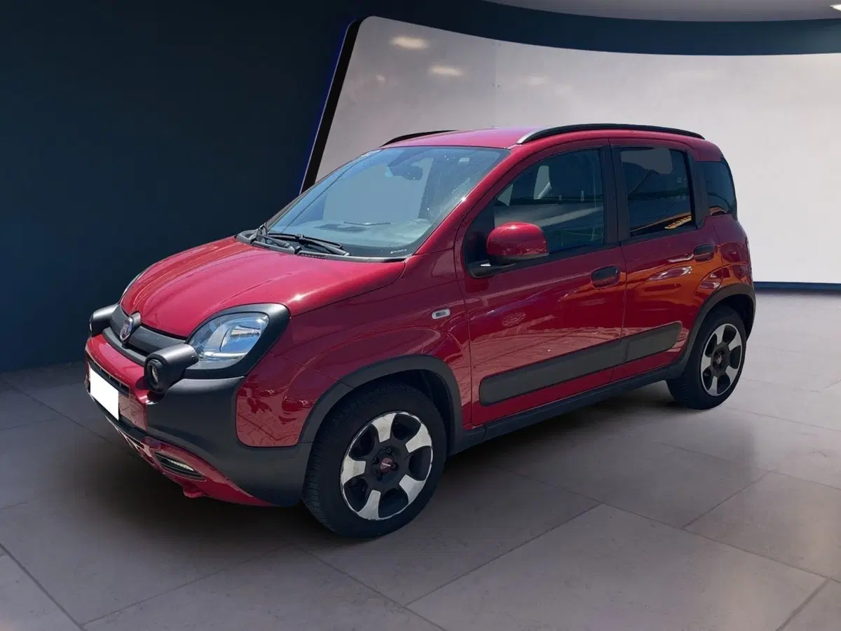 Fiat Panda usata a Torino (2)