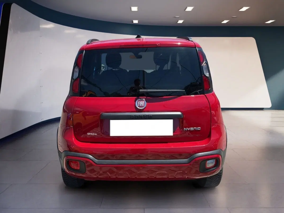 Fiat Panda usata a Torino (4)