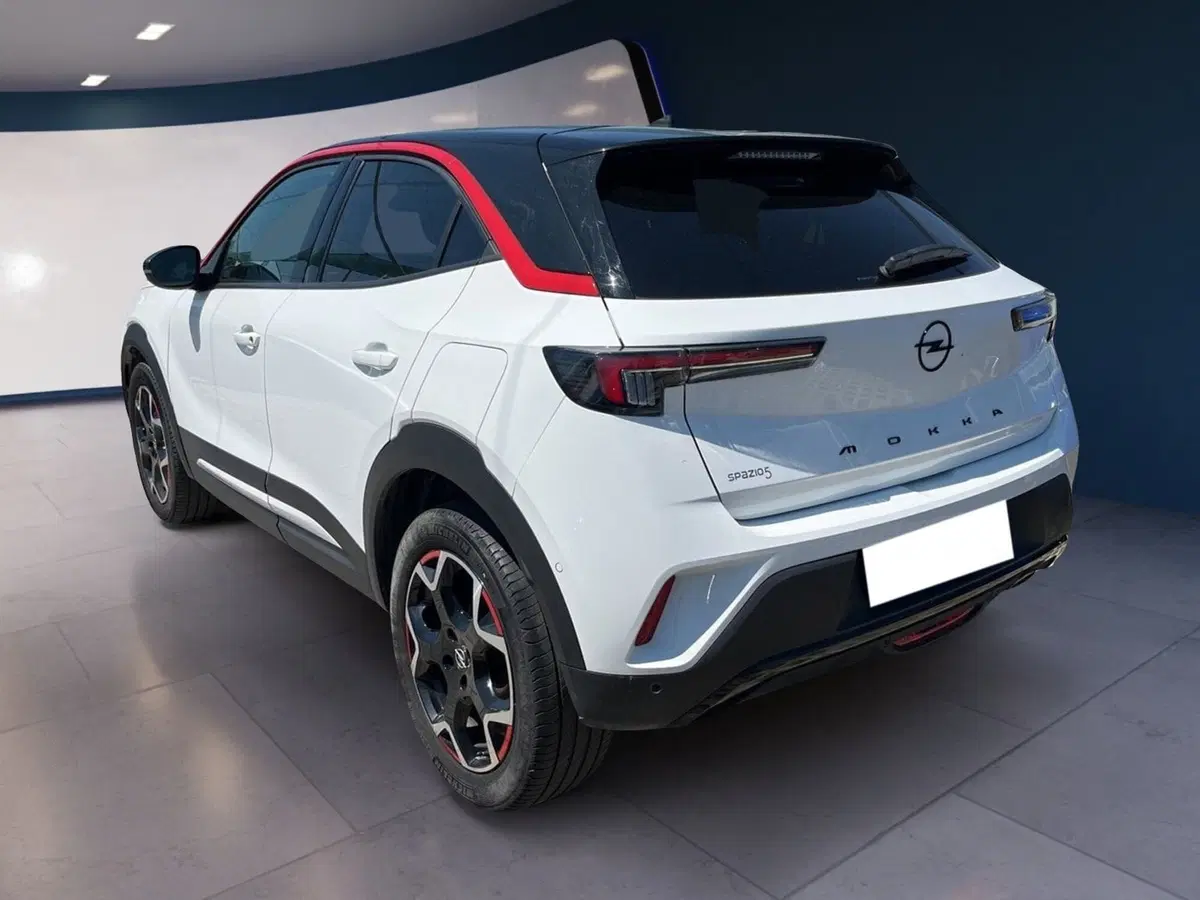 Opel Mokka usata a Torino (6)