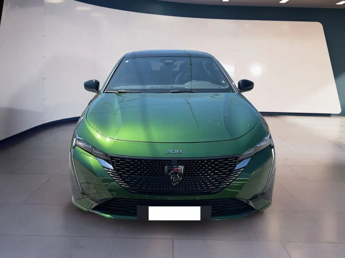 Peugeot 308 usata a Torino