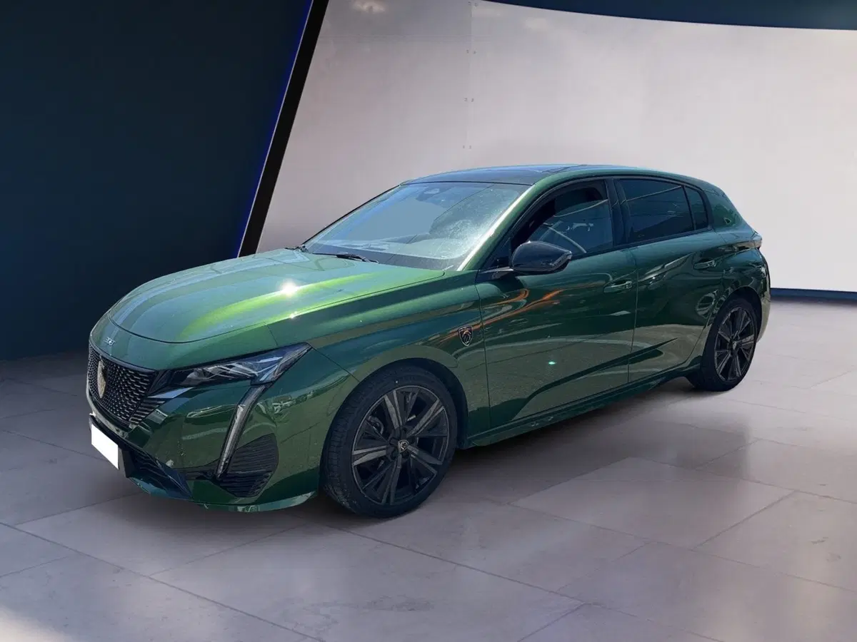Peugeot 308 usata a Torino (2)