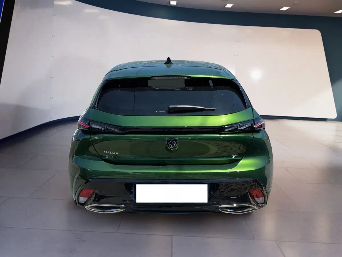 Peugeot 308 usata a Torino (5)