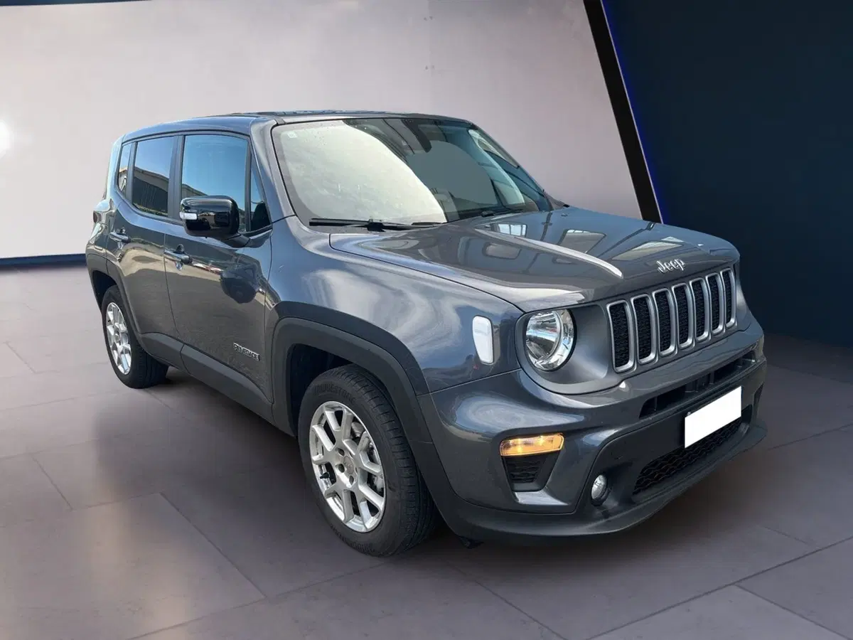 Jeep Renegade usata a Torino (2)