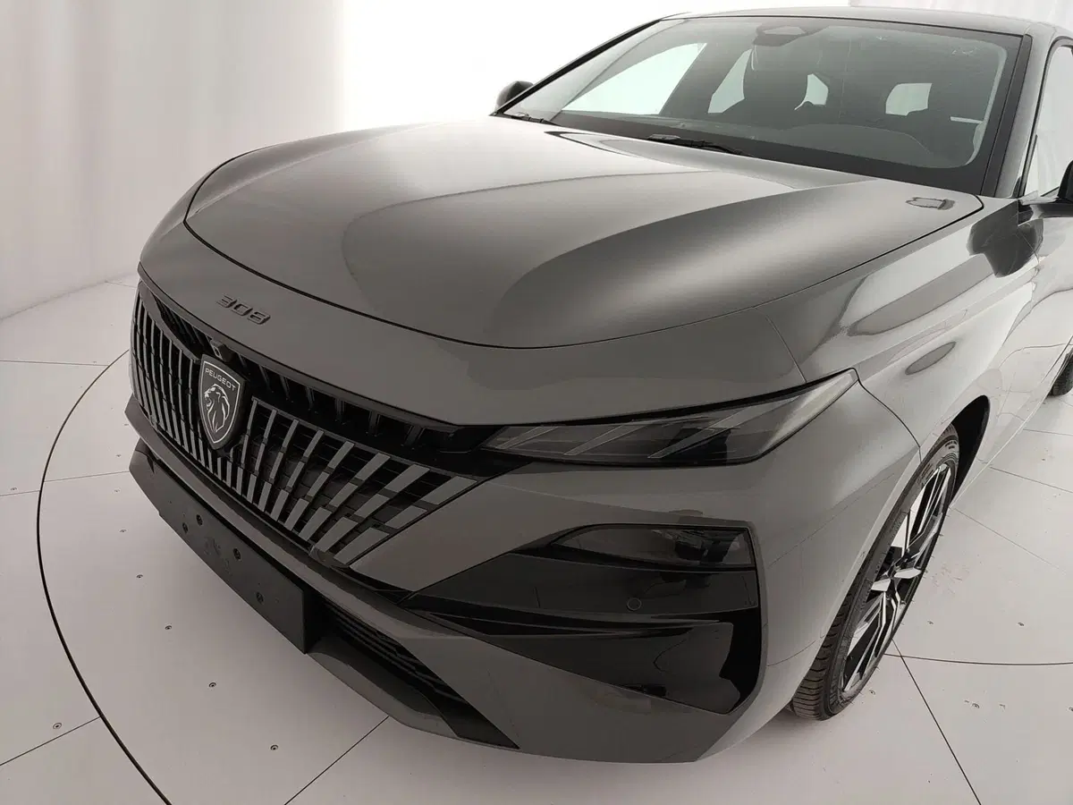 Peugeot 308 SW nuova a Caserta (12)