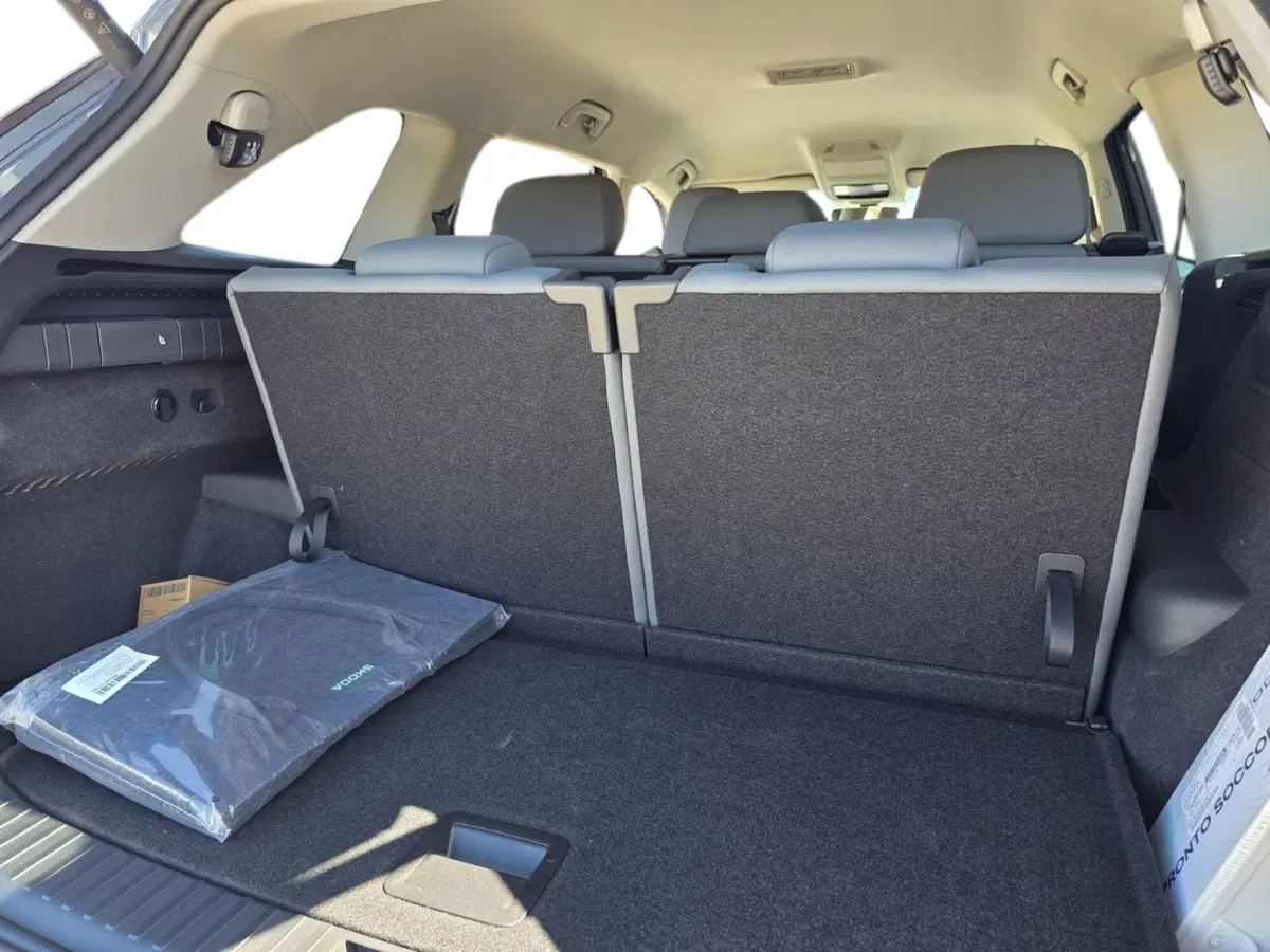 Skoda Kodiaq nuova a Pistoia (10)
