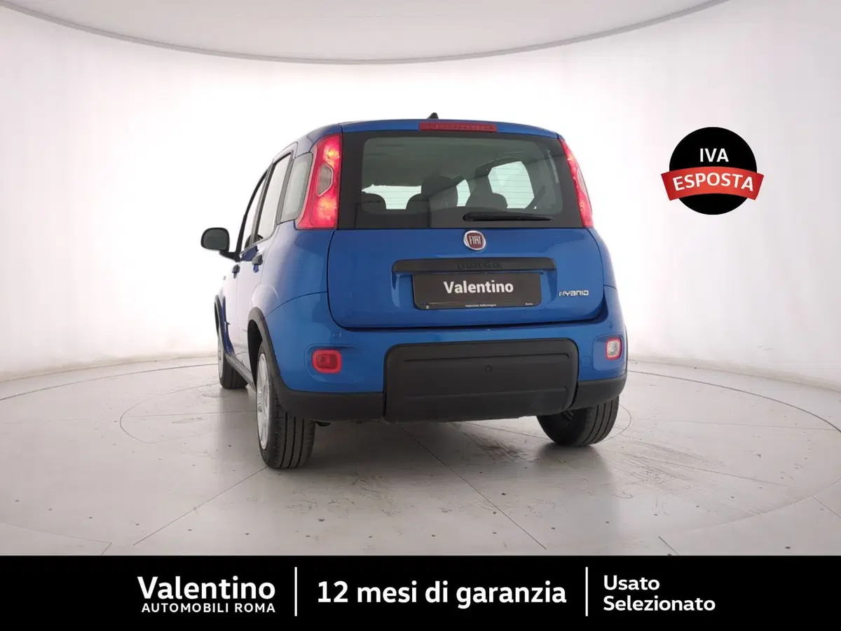 Fiat Panda Cross usata a Roma (5)