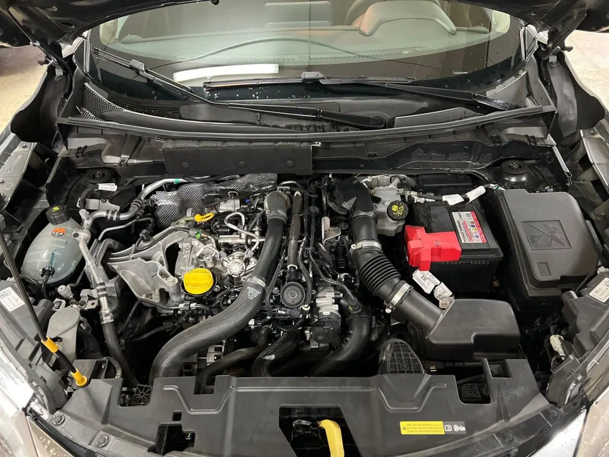 Nissan Juke usata a Siena (18)