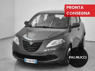Lancia Ypsilon 1.2 69 CV 5 porte Silver del 2015 usata a Prato