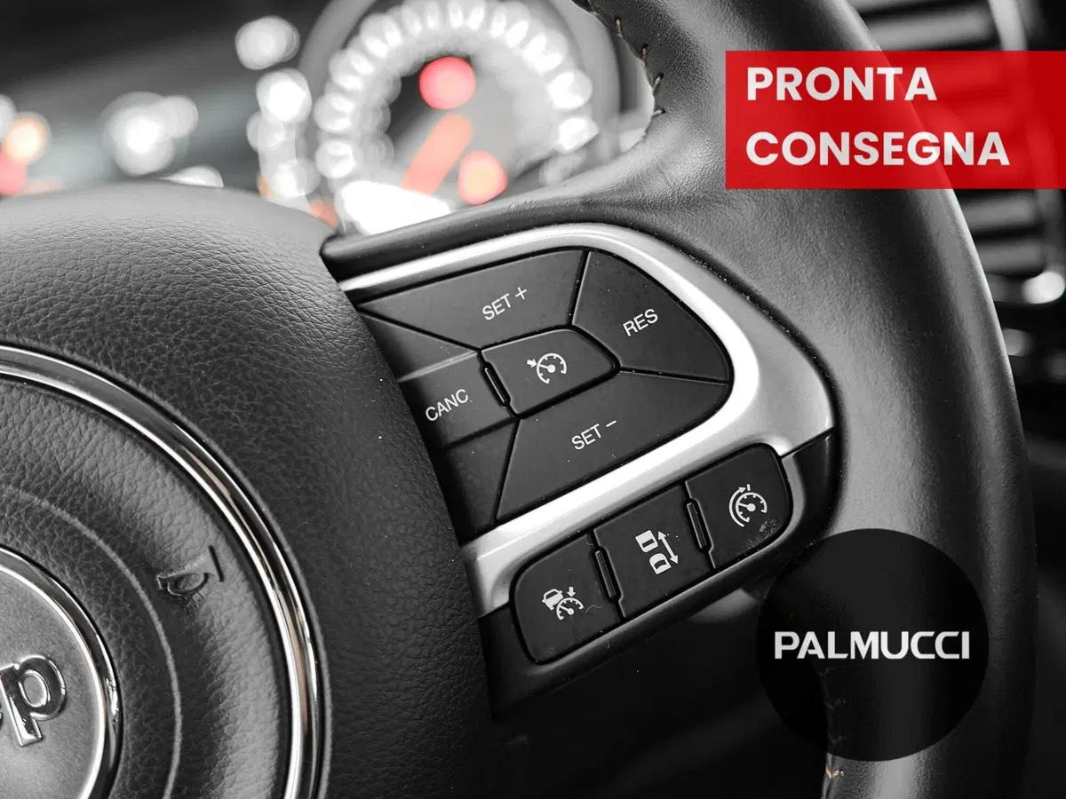 Jeep Compass usata a Prato (15)