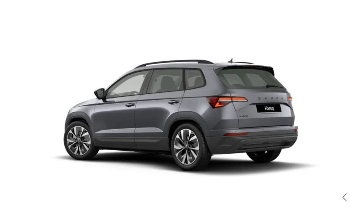 Skoda Karoq nuova a Torino (3)