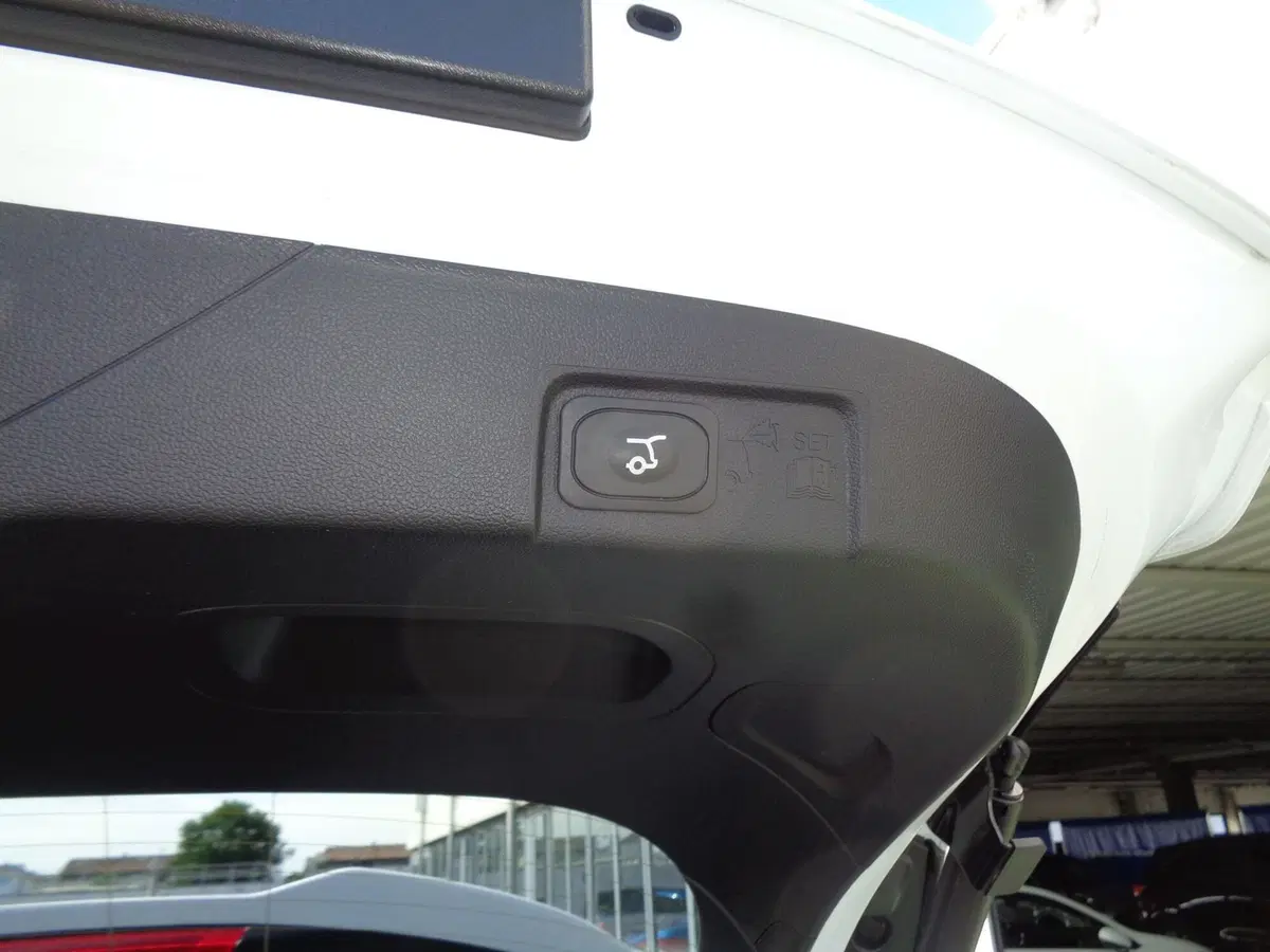 Ford Puma usata a Treviso (18)