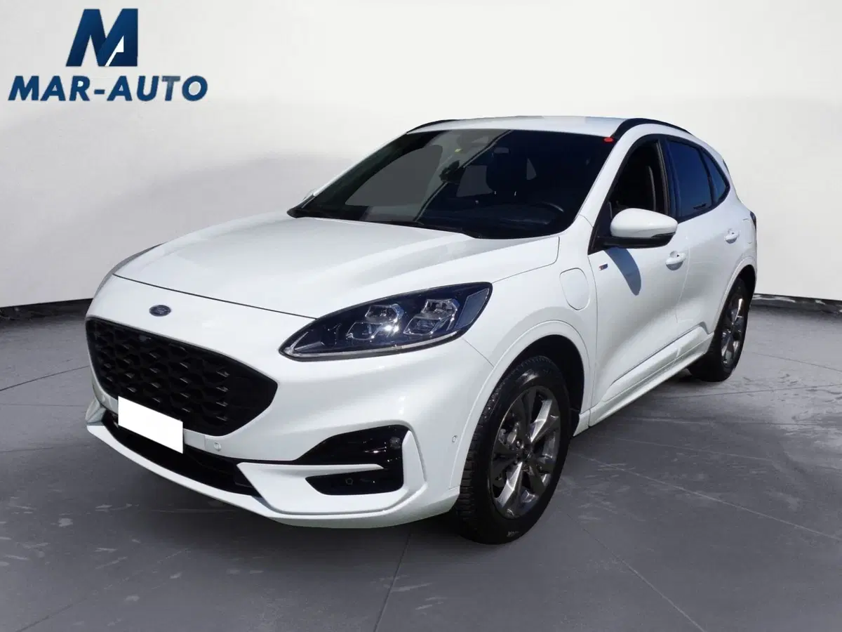 Ford Kuga usata a Treviso
