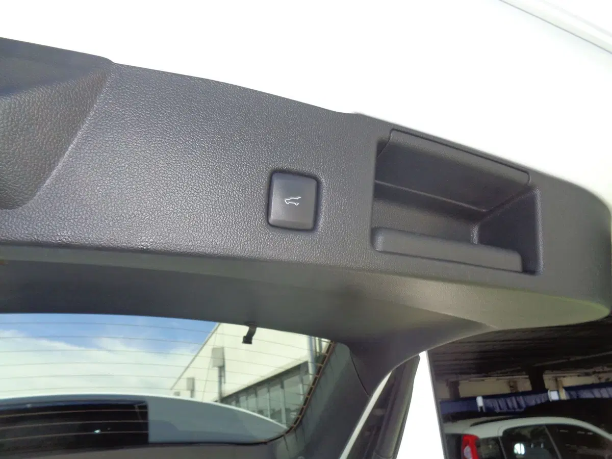Ford Kuga usata a Treviso (19)