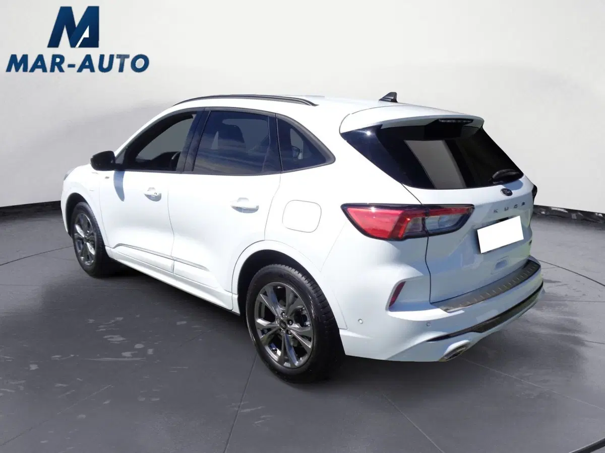 Ford Kuga usata a Treviso (2)