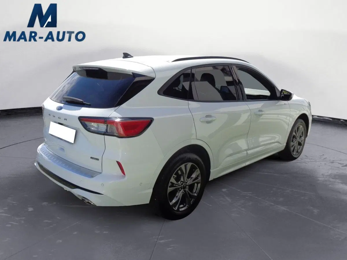 Ford Kuga usata a Treviso (3)