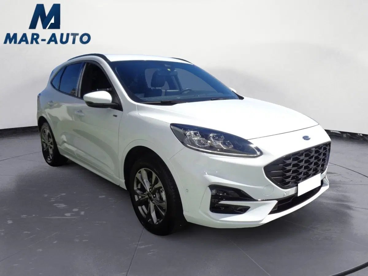 Ford Kuga usata a Treviso (4)