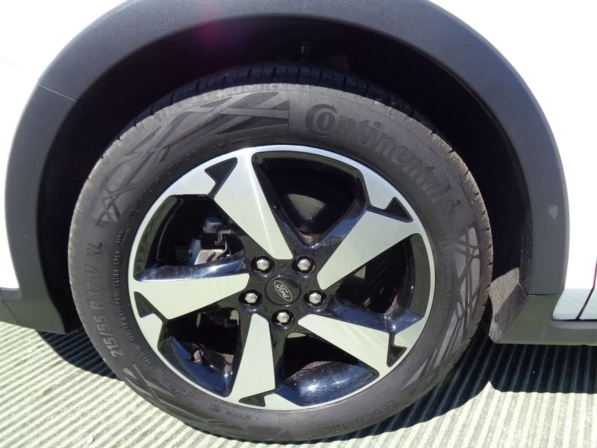 Ford Focus usata a Treviso (6)