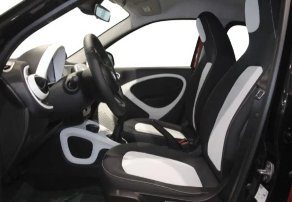 smart forfour usata a Palermo (10)
