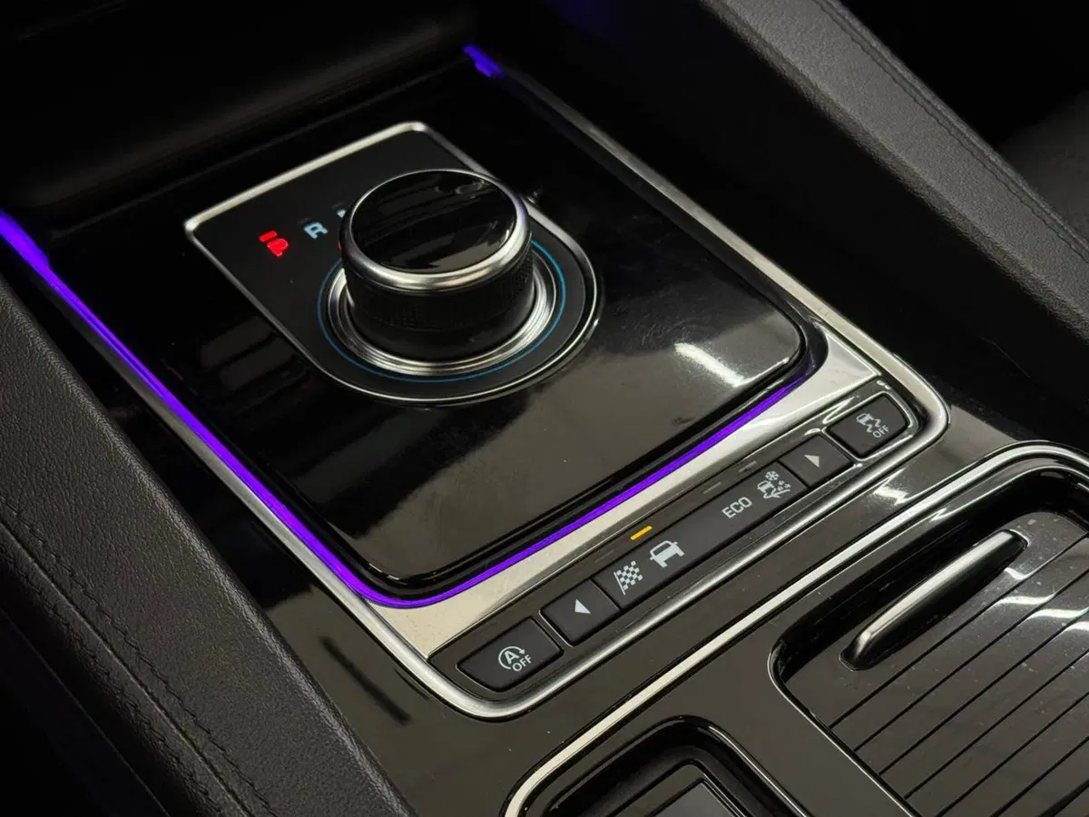Jaguar F-Pace usata a Savona (19)