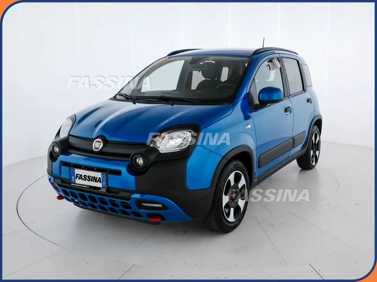 Fiat Panda Cross usata a Milano (3)