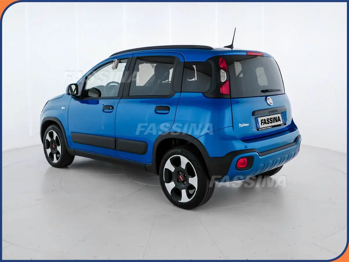 Fiat Panda Cross usata a Milano (4)