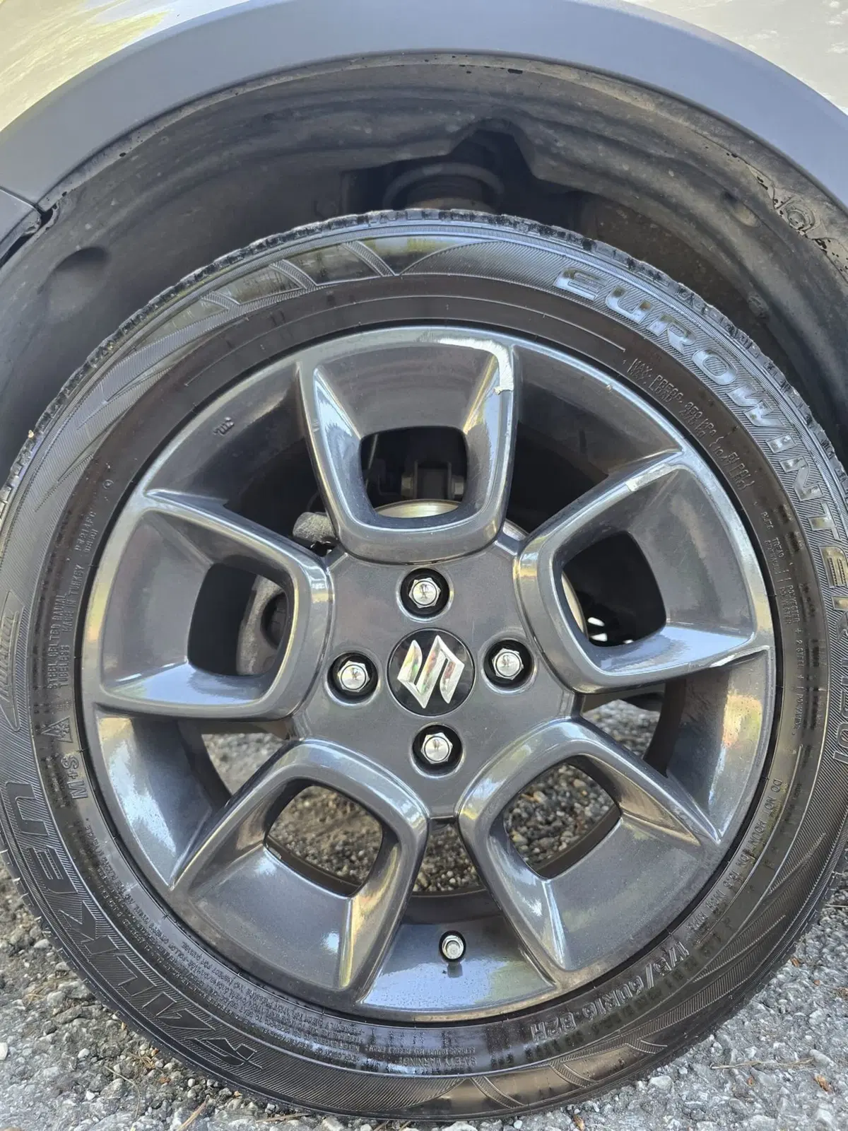 Suzuki Ignis usata a Massa-Carrara (15)