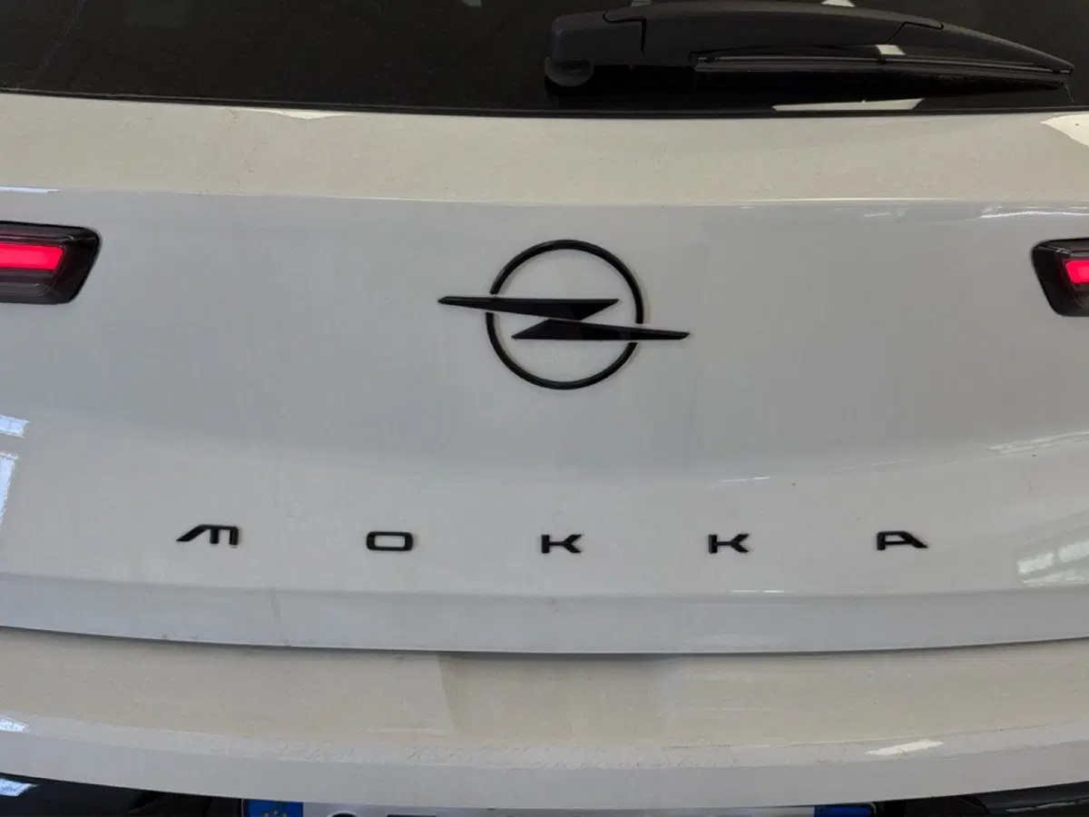 Opel Mokka usata a Palermo (15)