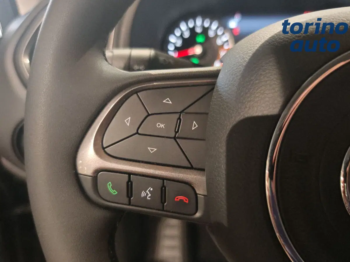 Jeep Renegade usata a Torino (15)