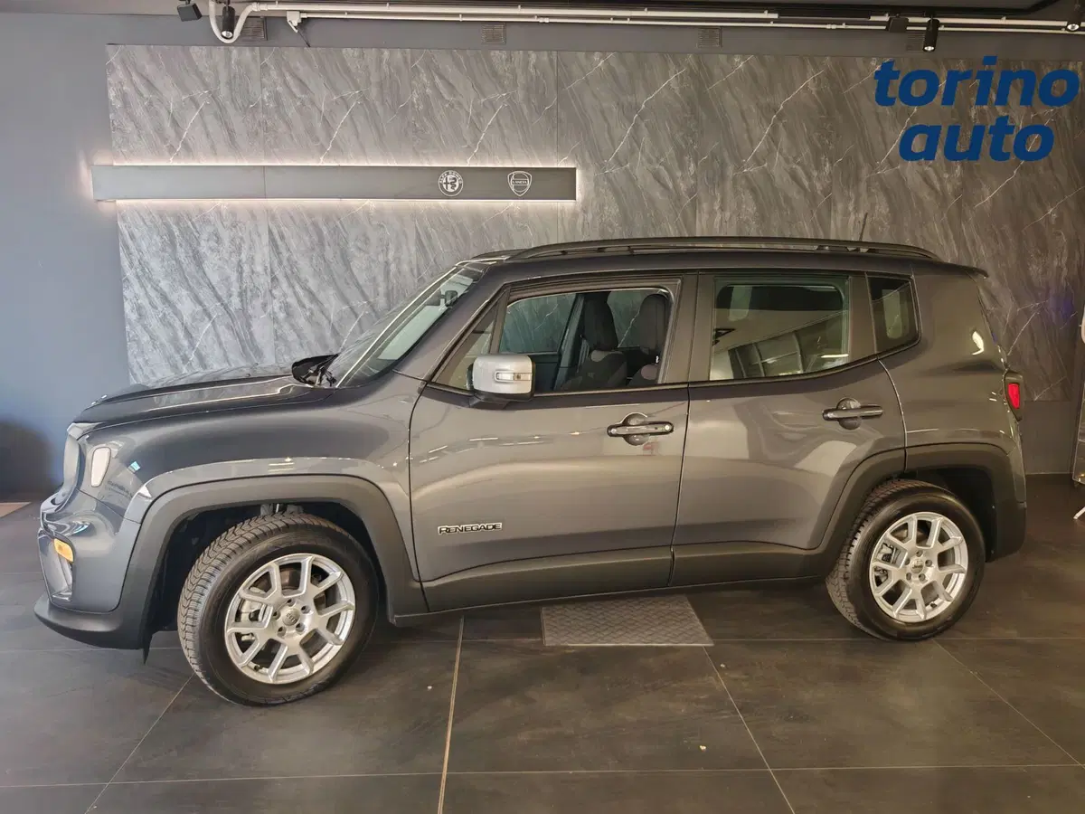 Jeep Renegade usata a Torino (3)